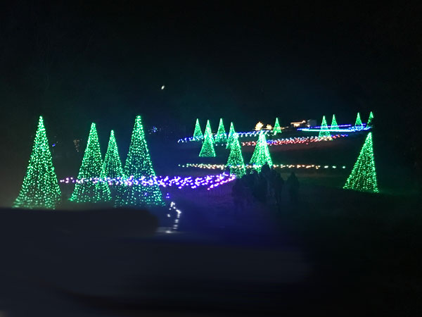 Christmas lights at Daniel Stowe Botanical Gardens